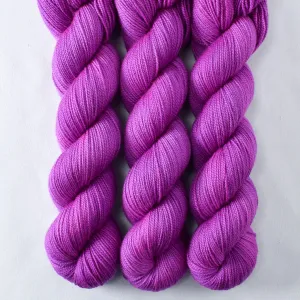 Antares - Yummy 2-Ply